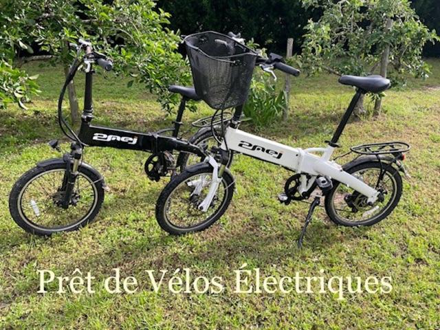 Photo of Others in Saint-Vivien-de-Medoc