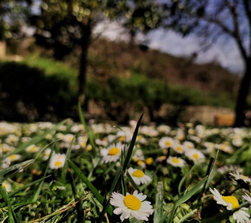 Photo of Outdoor in Esteribar