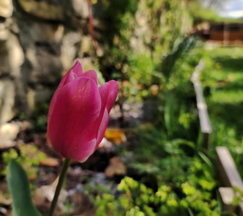 Photo of Outdoor in Esteribar