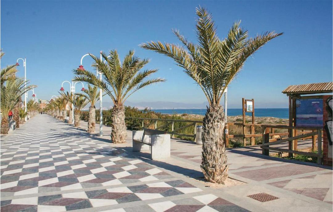 Photo of Others in Monte Faro