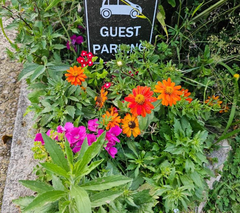 Photo of Others in Putaruru