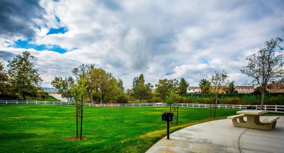 Photo of Others in Shacklewell