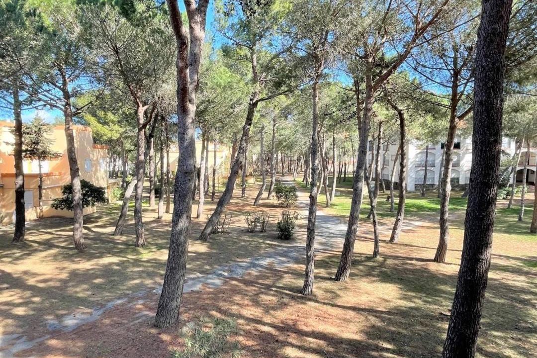 Photo of Others in Argeles Plage