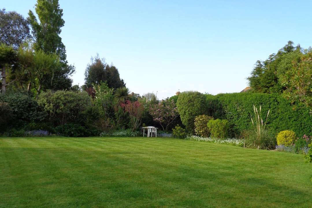 Photo of Others in Budleigh Salterton