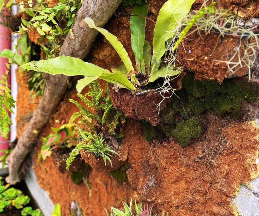 Photo of Others in Sungai Jan