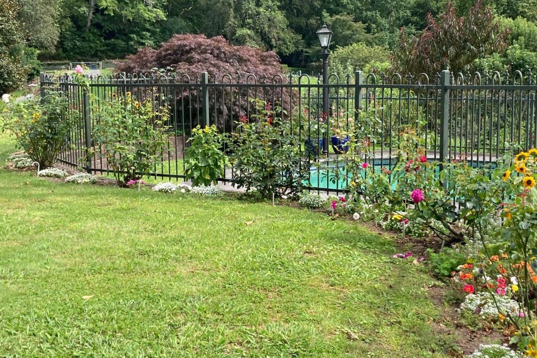 Photo of Others in Karapiro