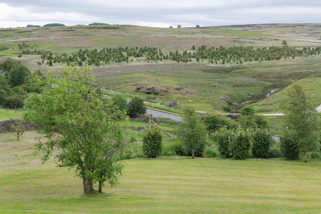 Photo of Others in Beeley