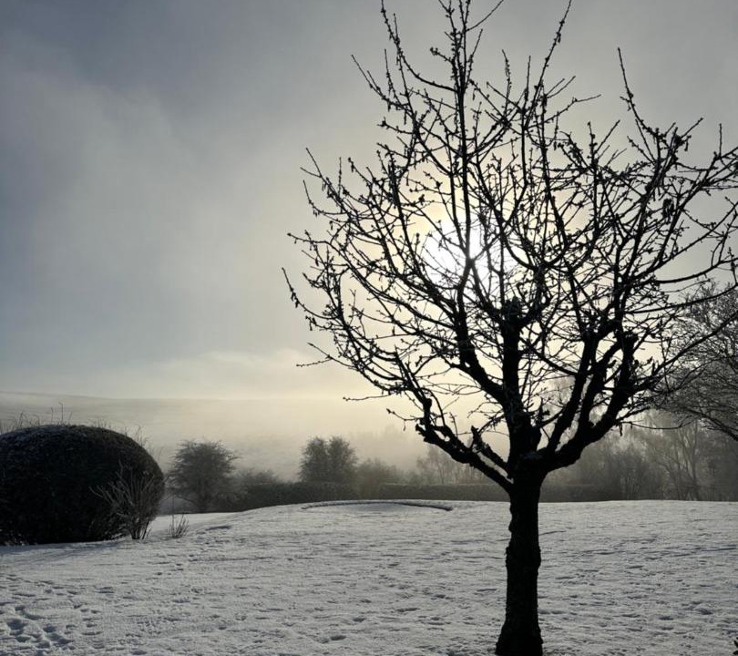 Photo of Others in Beeley