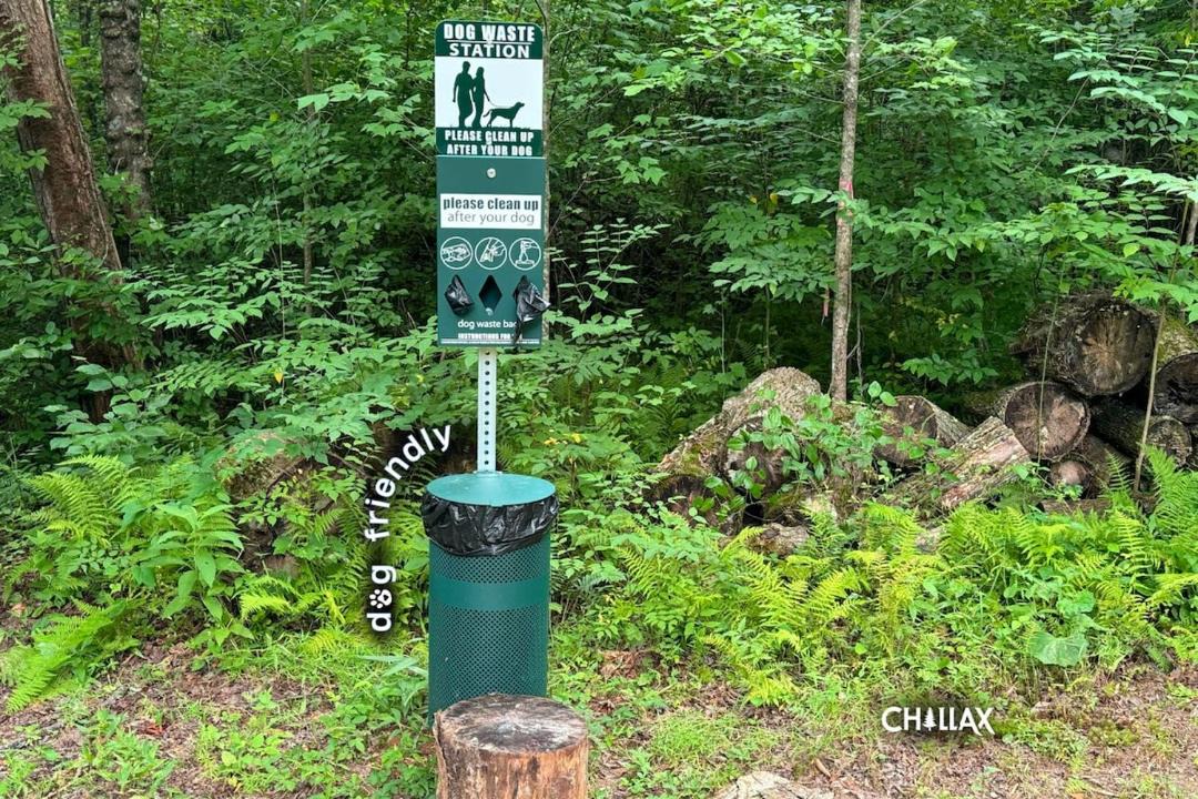 Photo of Outdoor in Blue Ridge