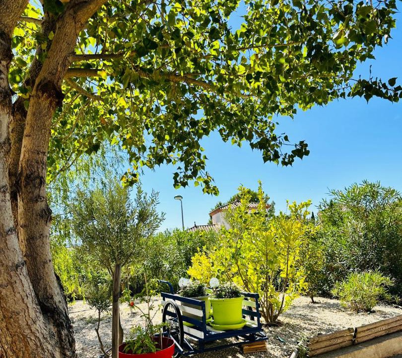 Photo of Others in Lezignan-Corbieres