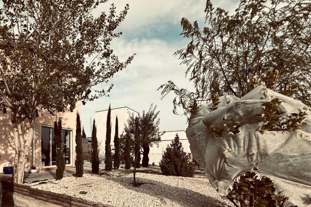 Photo of Others in Lezignan-Corbieres