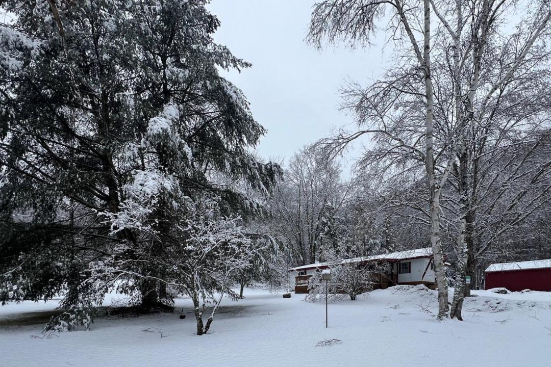 Photo of Others in Bridgewater Corners