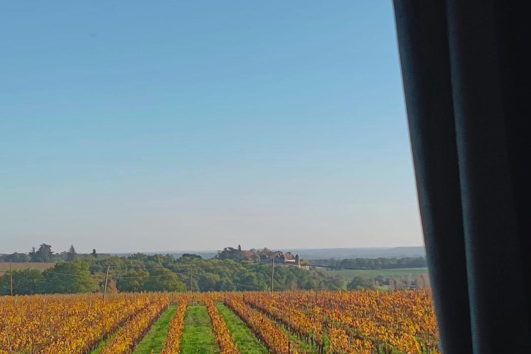 Photo of Others in Belves-de-Castillon