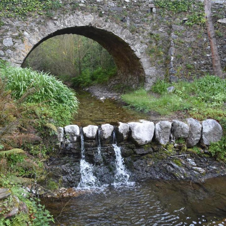 Photo of Others in Saint-Andre-de-Majencoules