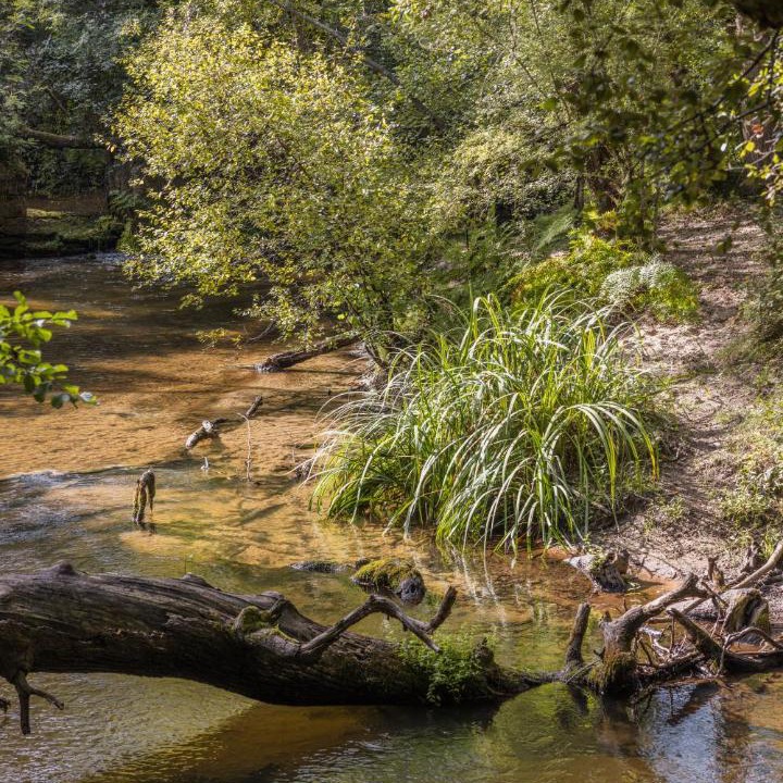 Photo of Others in Uchacq