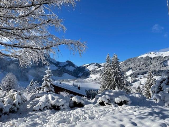 Photo of Others in Schwarzsee