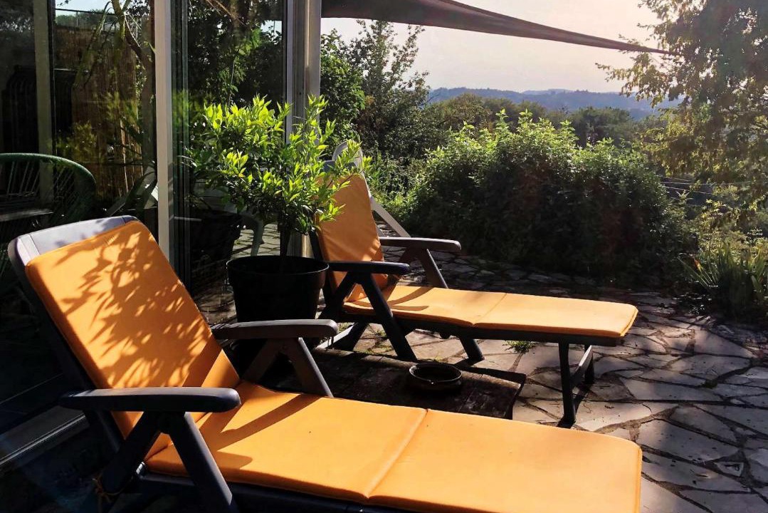 Photo of Others in Tulle