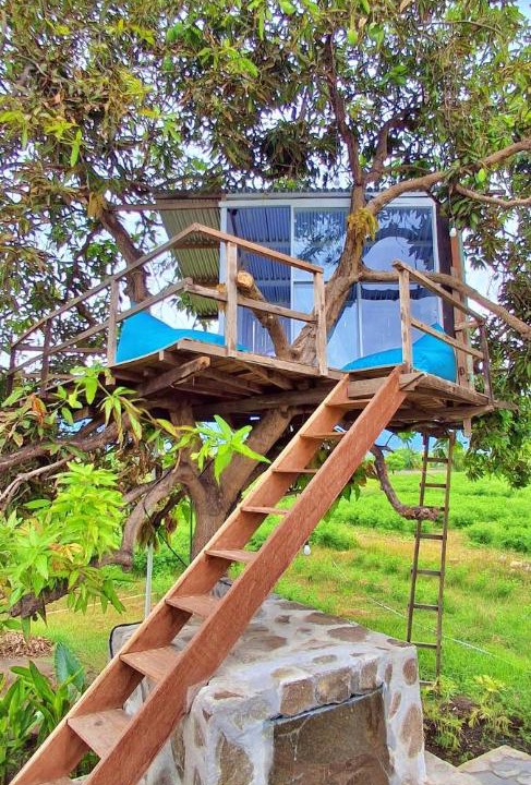 Photo of Others in Kalisada