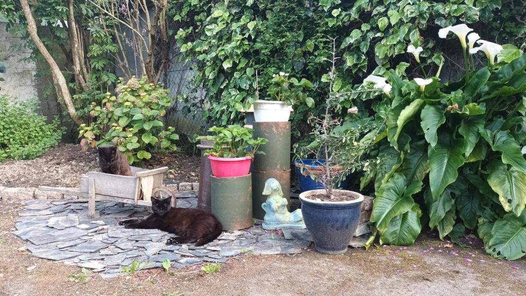 Photo of Outdoor in Curey