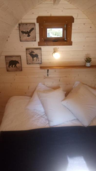 Photo of Bedroom in Champfromier