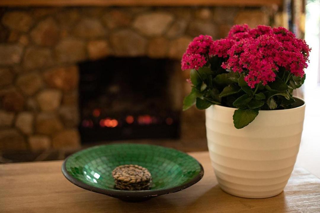 Photo of Others in Springfield