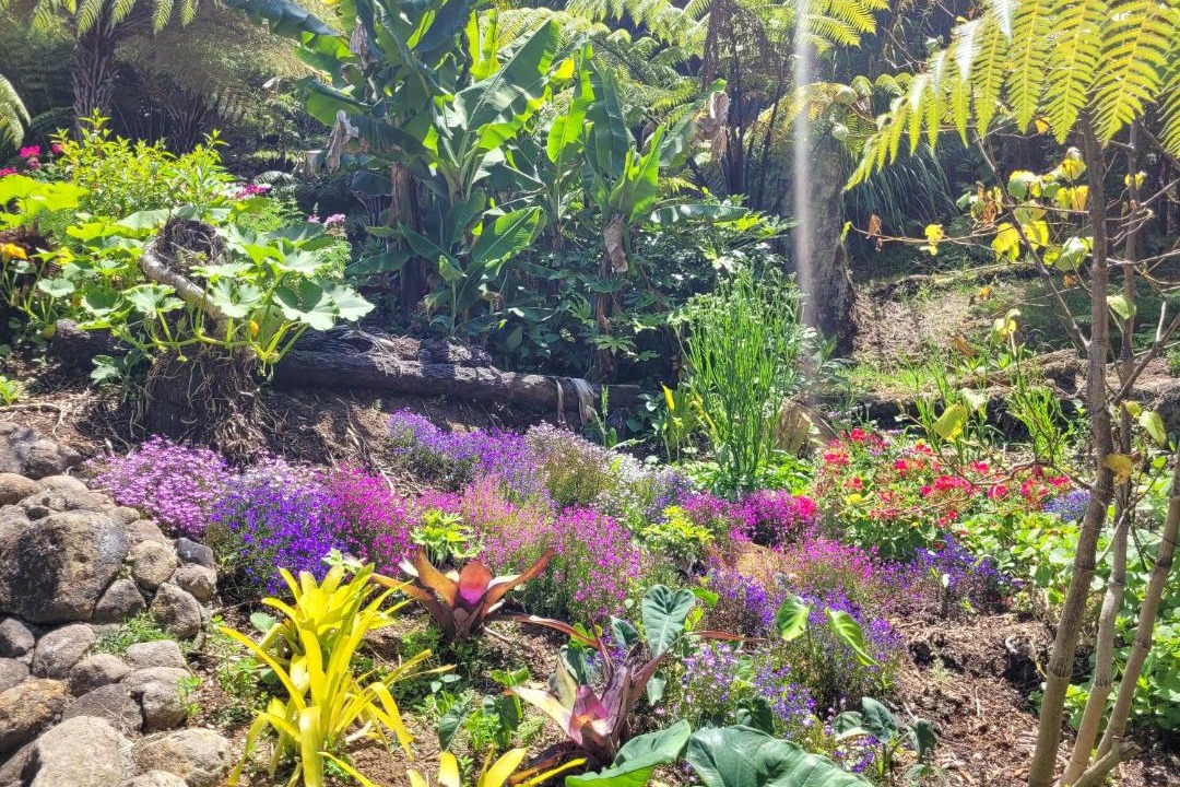 Photo of Others in Whitianga