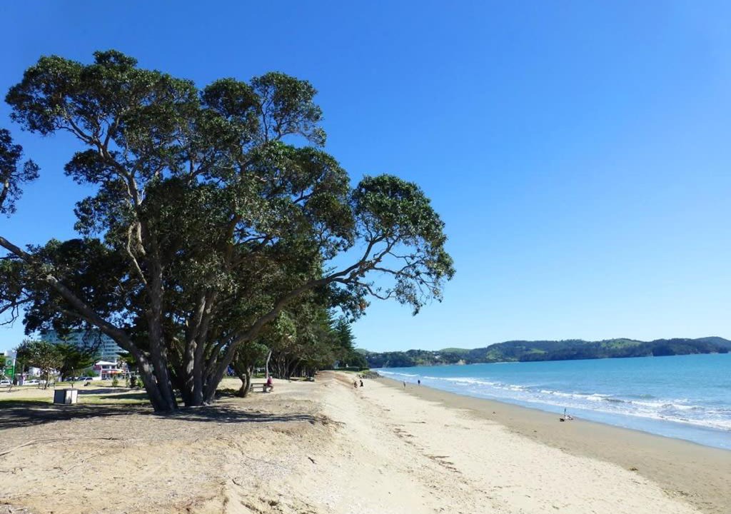 Photo of Others in Orewa