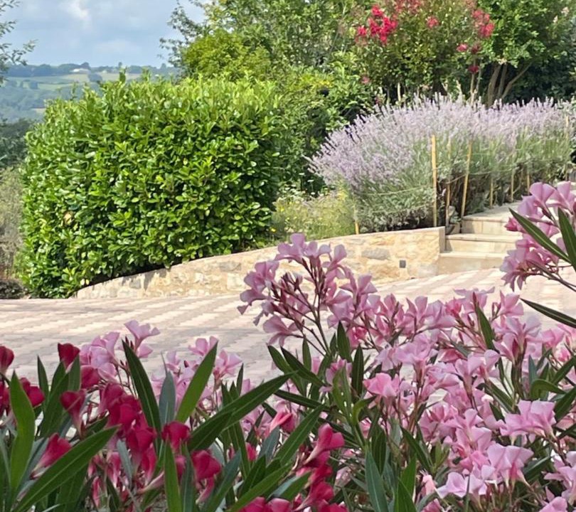 Photo of Others in Najac