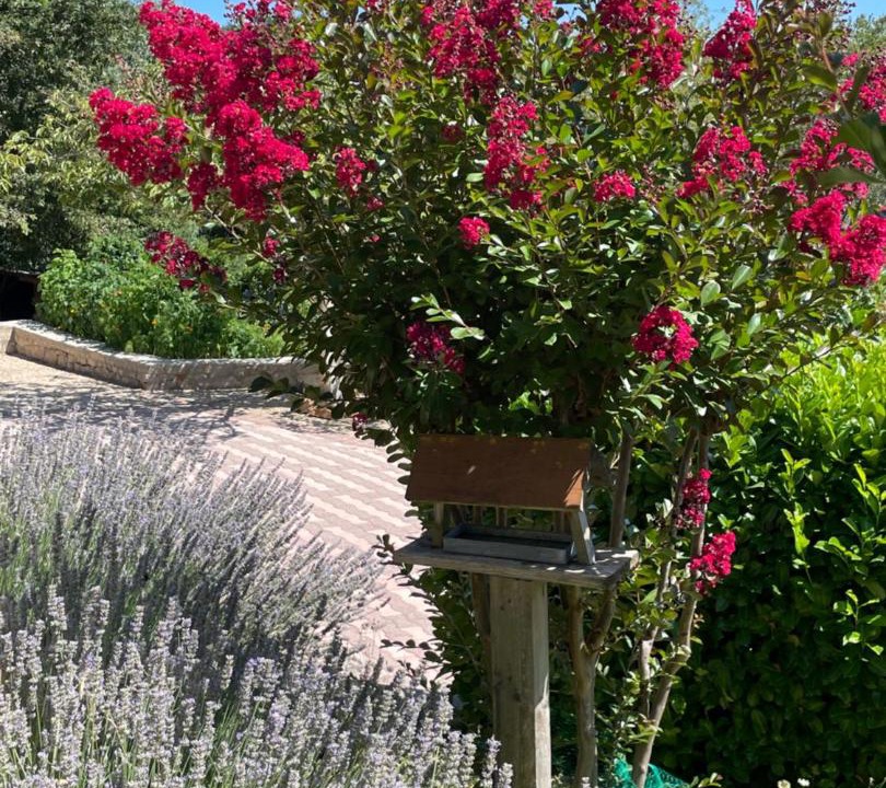 Photo of Others in Najac