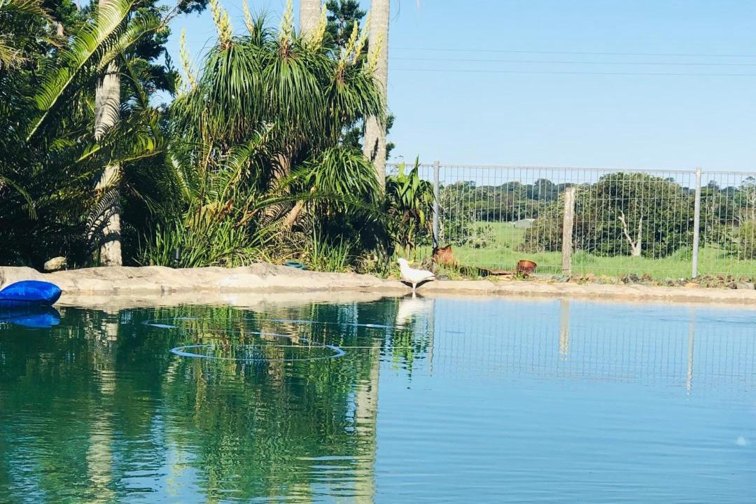 Photo of Others in Maleny