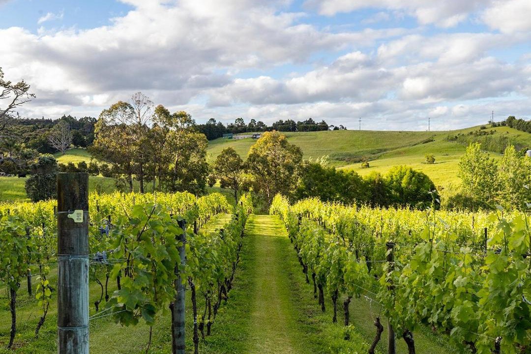 Photo of Others in Warkworth