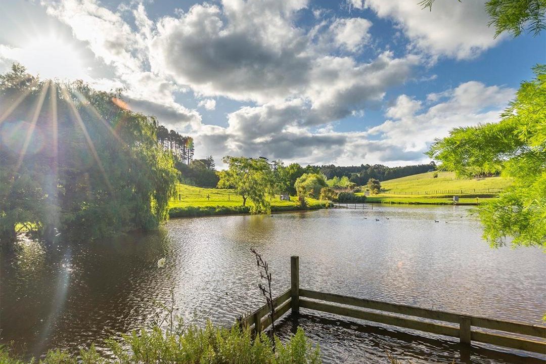 Photo of Others in Warkworth