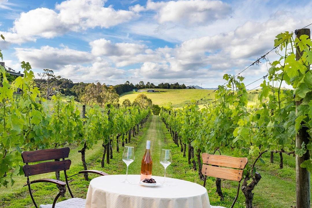 Photo of Others in Warkworth