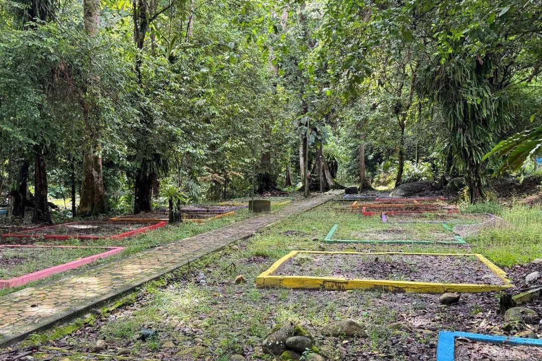 Photo of Others in Tapah