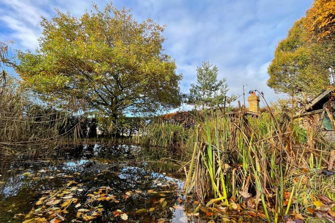 Photo of Others in Buckton