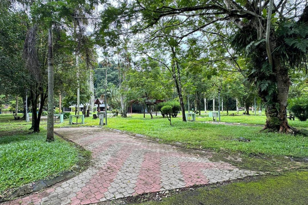 Photo of Others in Tapah