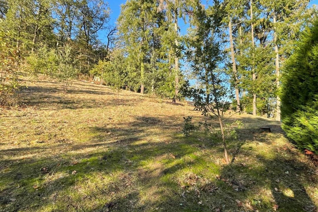 Photo of Others in Najac