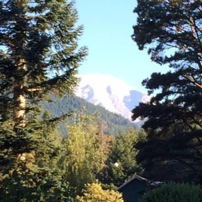 Photo of Others in Packwood