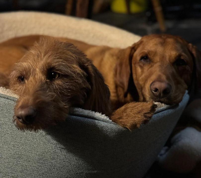 Photo of Others in Old Radnor