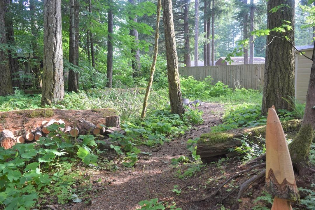 Photo of Others in Packwood