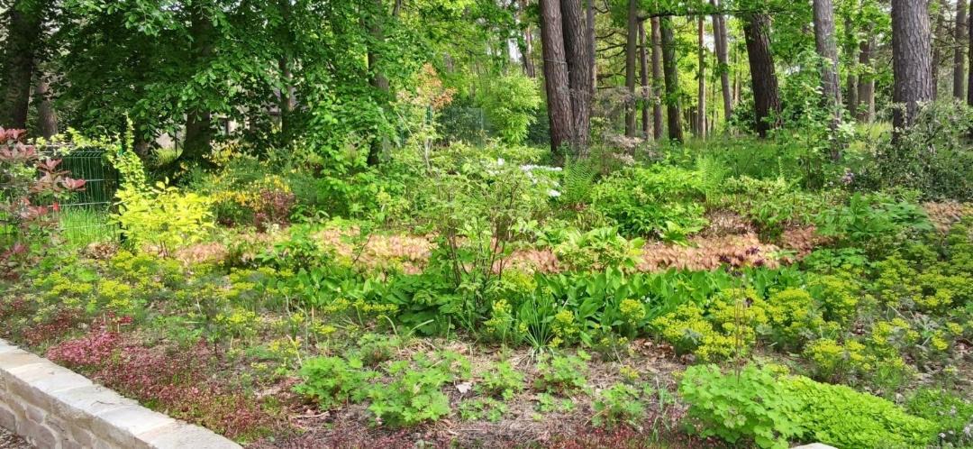 Photo of Outdoor in Arbonne-la-Foret
