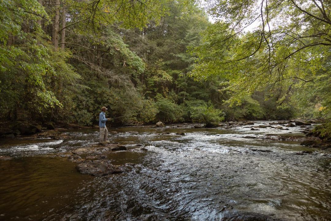 Photo of Others in McCaysville