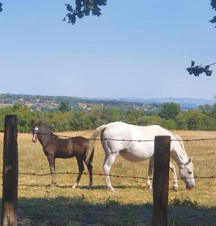 Photo of Others in Marcilly-le-Chatel