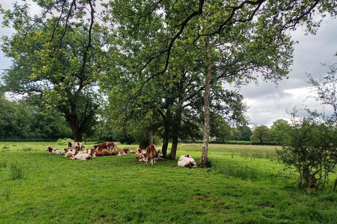 Photo of Others in Neuville-les-Decize