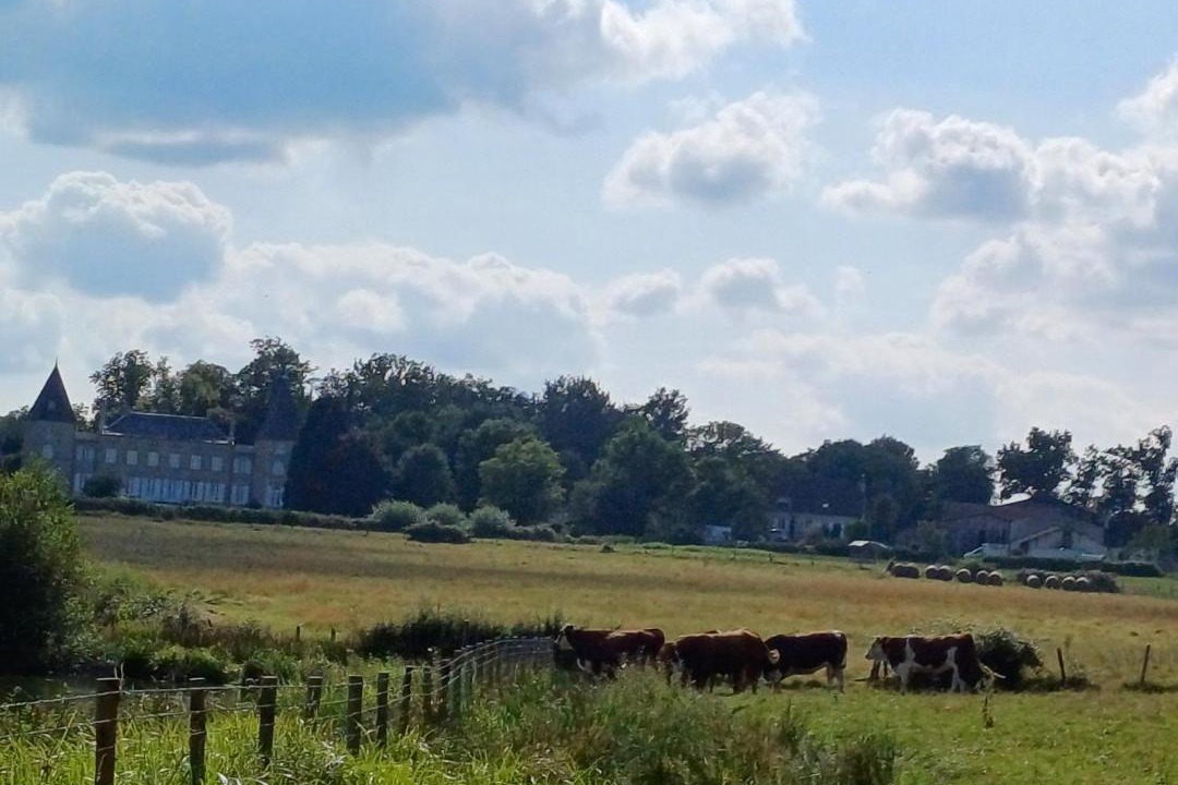 Photo of Buildings in Neuville-les-Decize
