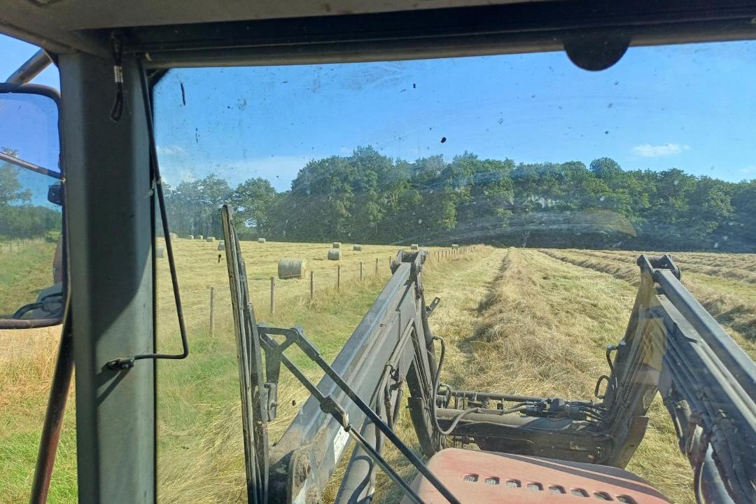 Photo of Others in Neuville-les-Decize