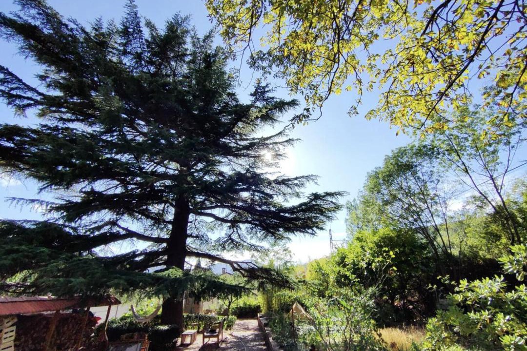 Photo of Outdoor in Lunas