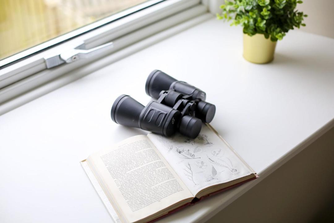 Photo of Others in Penryn