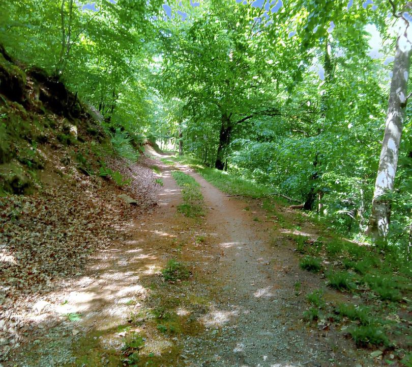 Photo of Others in La Salvetat-sur-Agout