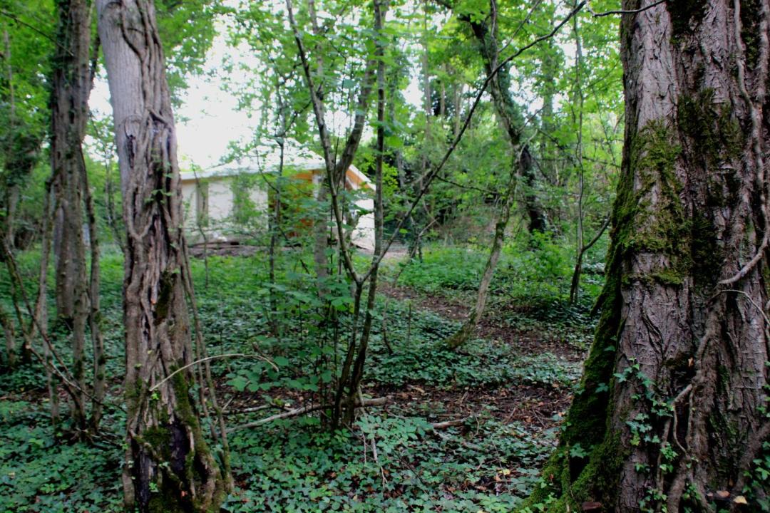 Photo of Others in Bellenaves